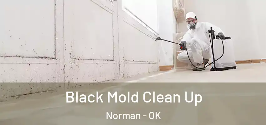 Black Mold Clean Up Norman - OK