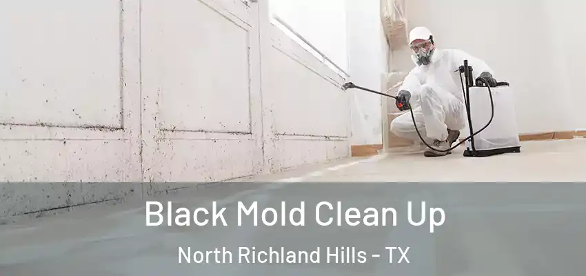  Black Mold Clean Up North Richland Hills - TX