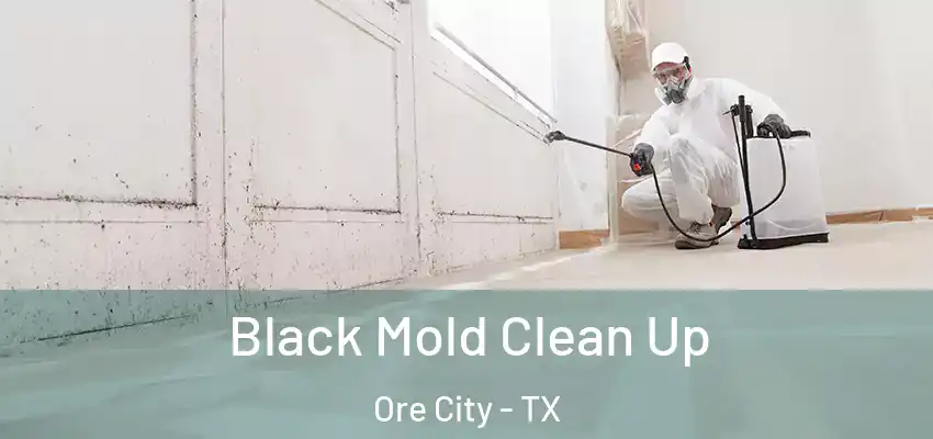  Black Mold Clean Up Ore City - TX