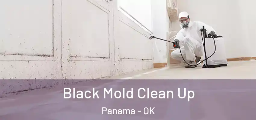 Black Mold Clean Up Panama - OK