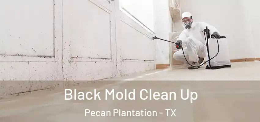  Black Mold Clean Up Pecan Plantation - TX