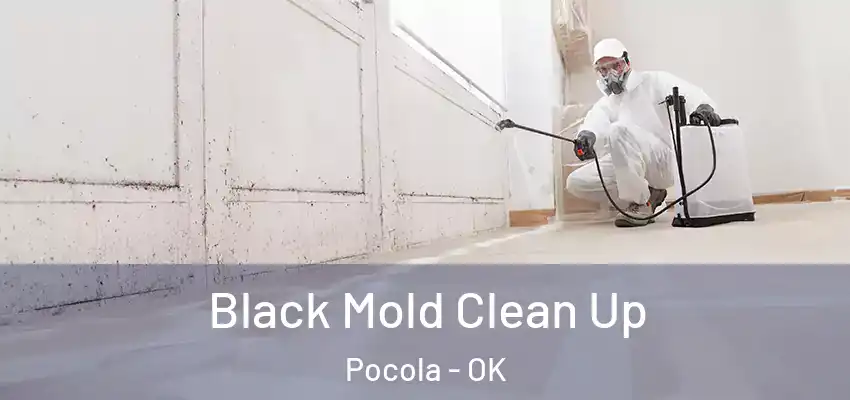 Black Mold Clean Up Pocola - OK