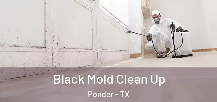  Black Mold Clean Up Ponder - TX