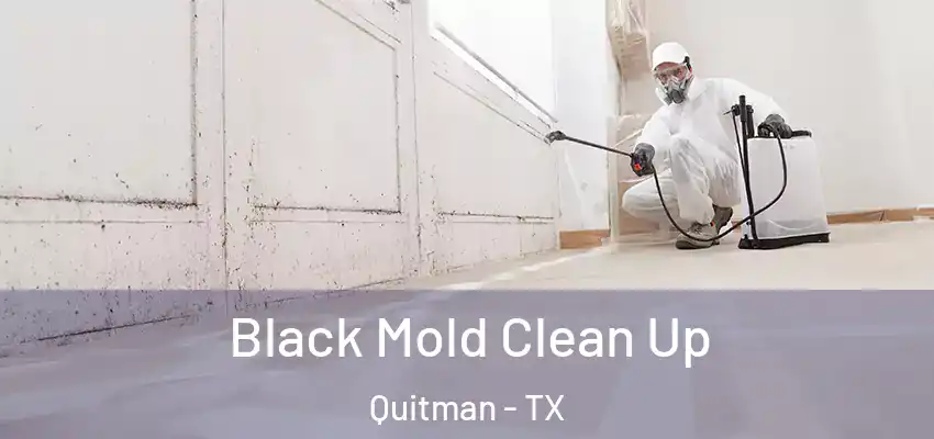  Black Mold Clean Up Quitman - TX