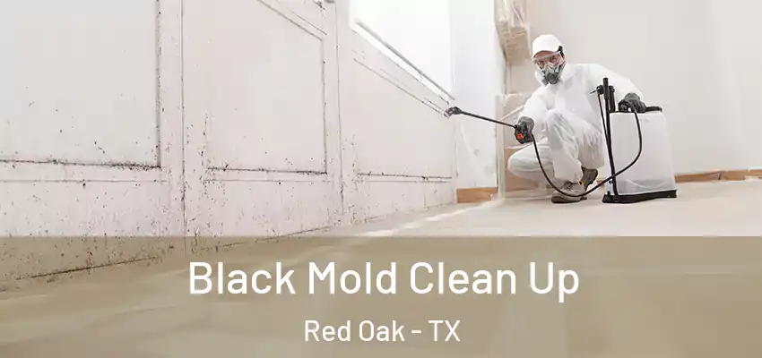  Black Mold Clean Up Red Oak - TX