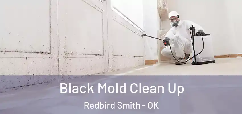  Black Mold Clean Up Redbird Smith - OK