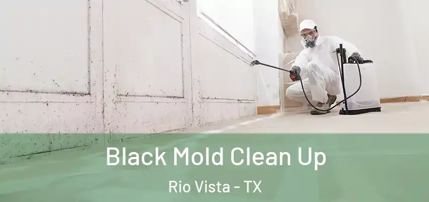 Black Mold Clean Up Rio Vista - TX