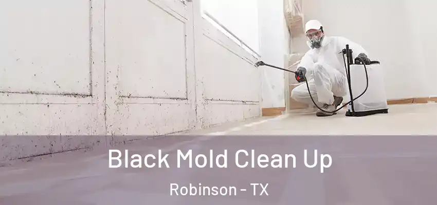 Black Mold Clean Up Robinson - TX