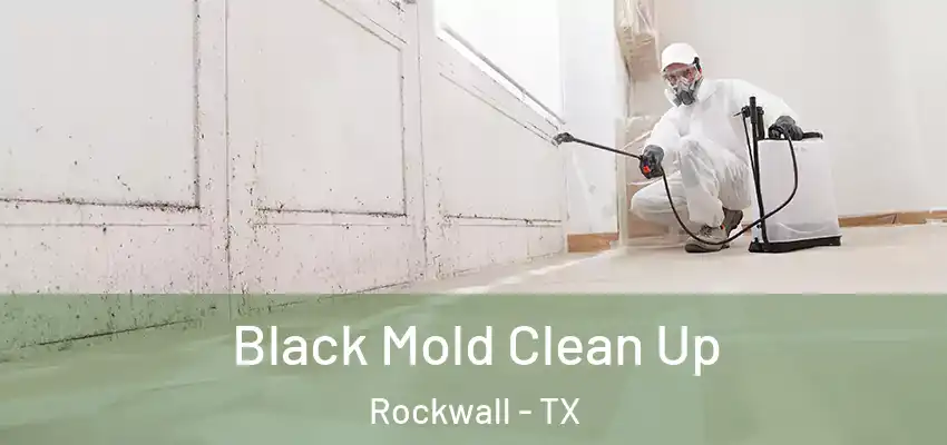 Black Mold Clean Up Rockwall - TX