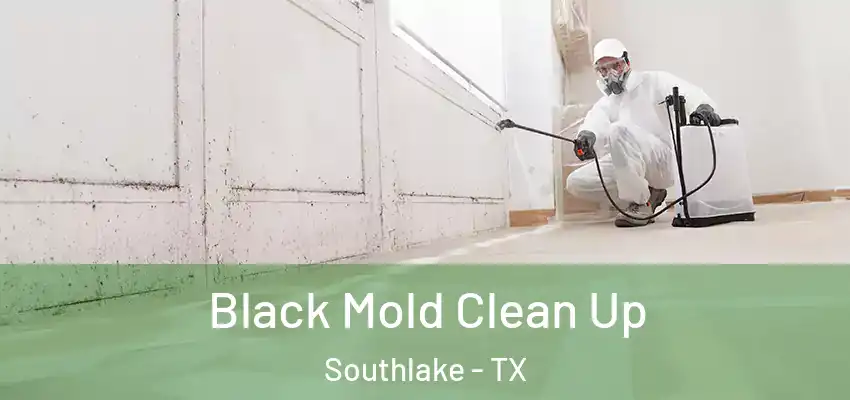Black Mold Clean Up Southlake - TX
