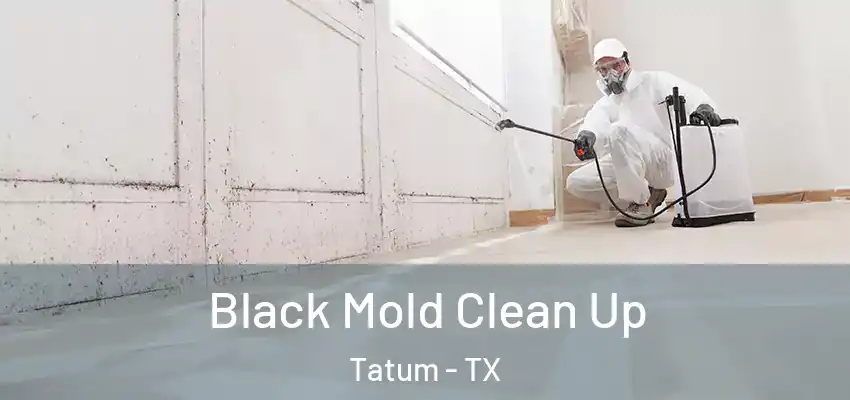  Black Mold Clean Up Tatum - TX