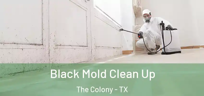  Black Mold Clean Up The Colony - TX