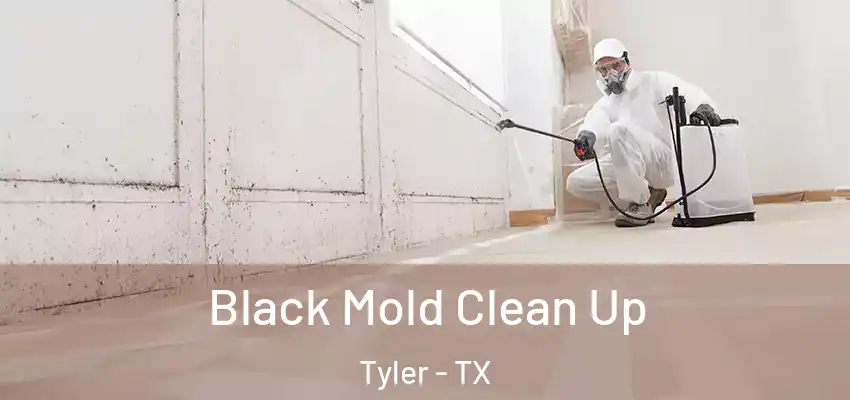 Black Mold Clean Up Tyler - TX