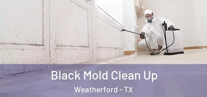 Black Mold Clean Up Weatherford - TX