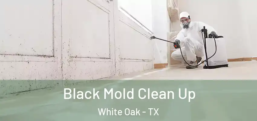  Black Mold Clean Up White Oak - TX