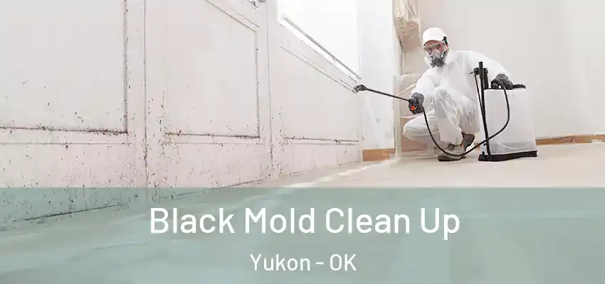 Black Mold Clean Up Yukon - OK