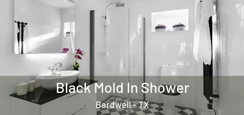 Black Mold In Shower Bardwell - TX