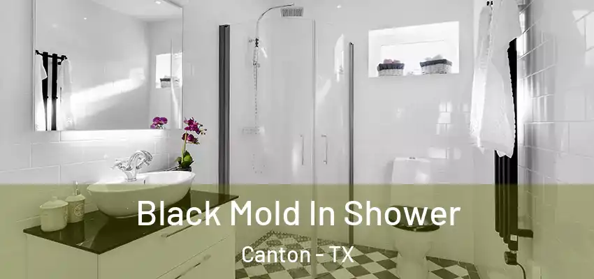Black Mold In Shower Canton - TX