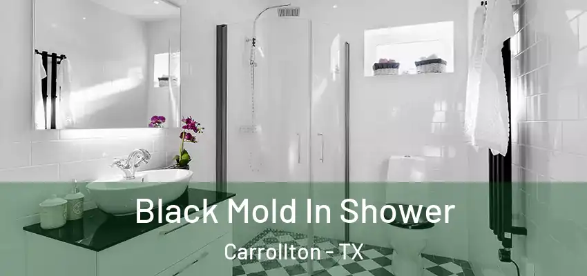 Black Mold In Shower Carrollton - TX
