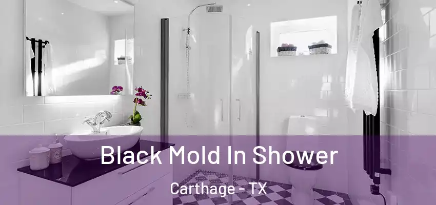 Black Mold In Shower Carthage - TX