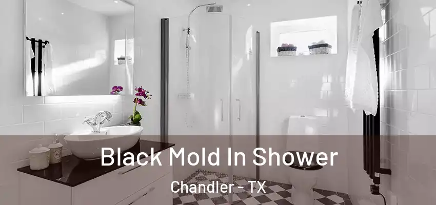 Black Mold In Shower Chandler - TX
