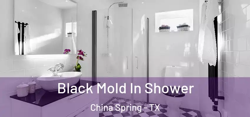 Black Mold In Shower China Spring - TX