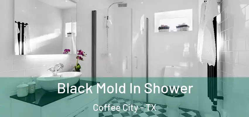  Black Mold In Shower Coffee City - TX