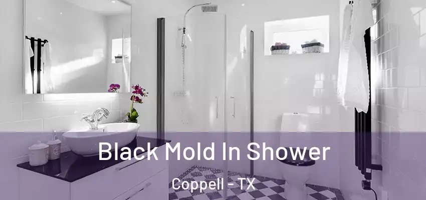  Black Mold In Shower Coppell - TX