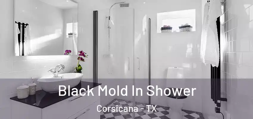  Black Mold In Shower Corsicana - TX