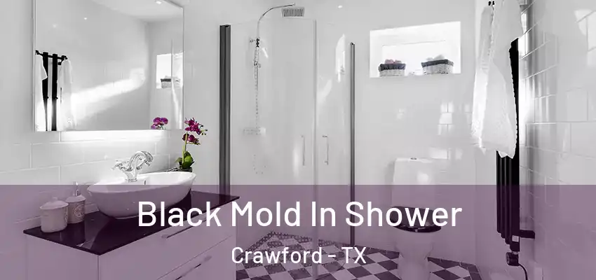 Black Mold In Shower Crawford - TX