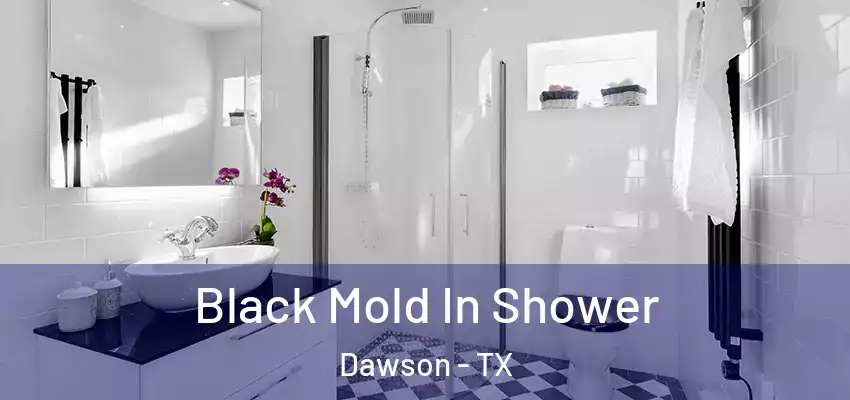 Black Mold In Shower Dawson - TX
