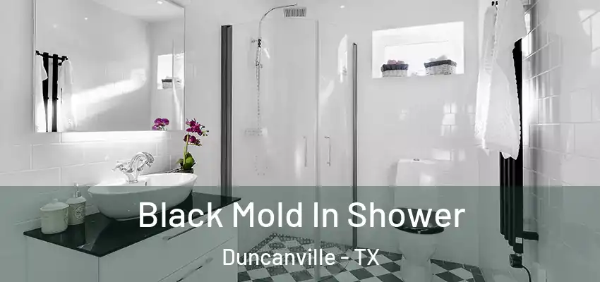  Black Mold In Shower Duncanville - TX