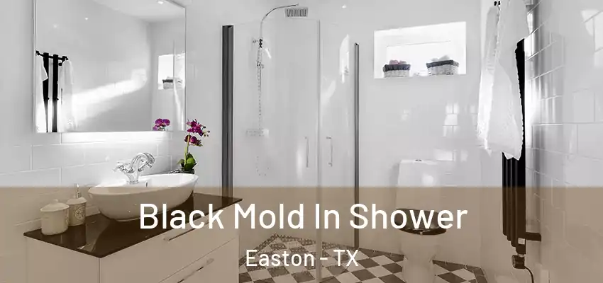 Black Mold In Shower Easton - TX