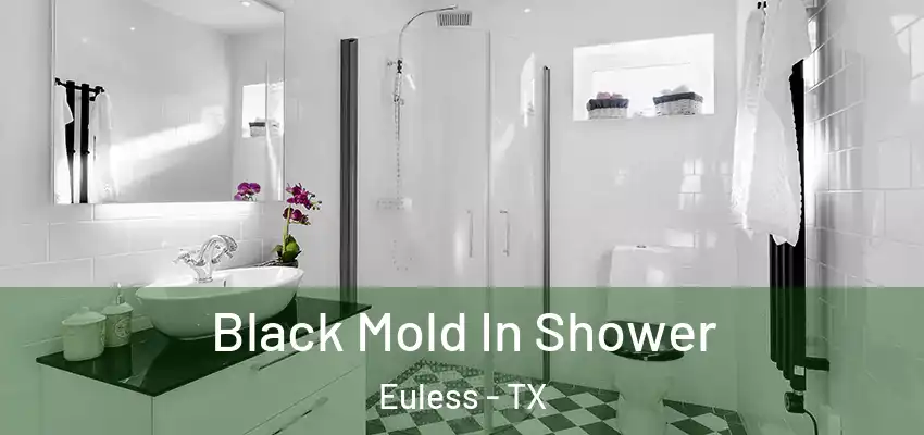 Black Mold In Shower Euless - TX
