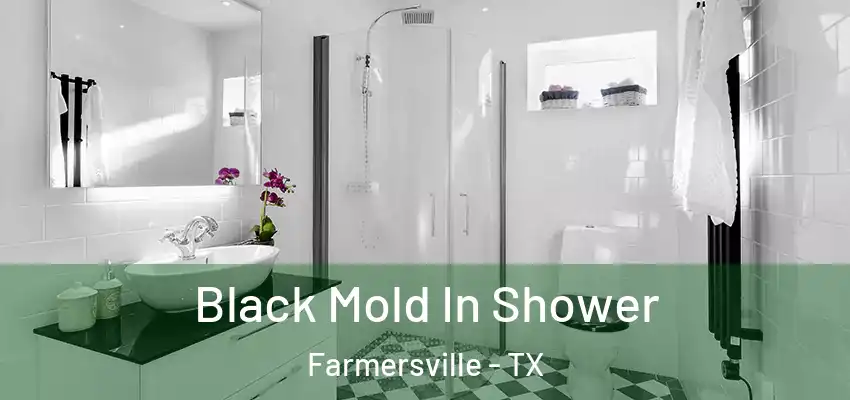  Black Mold In Shower Farmersville - TX