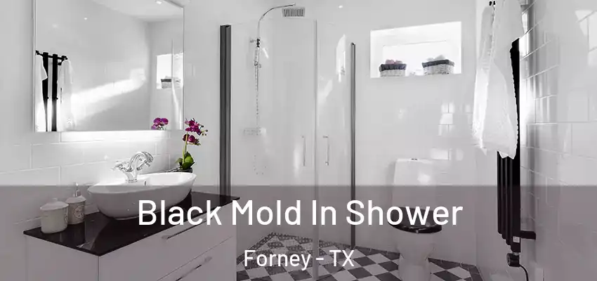  Black Mold In Shower Forney - TX