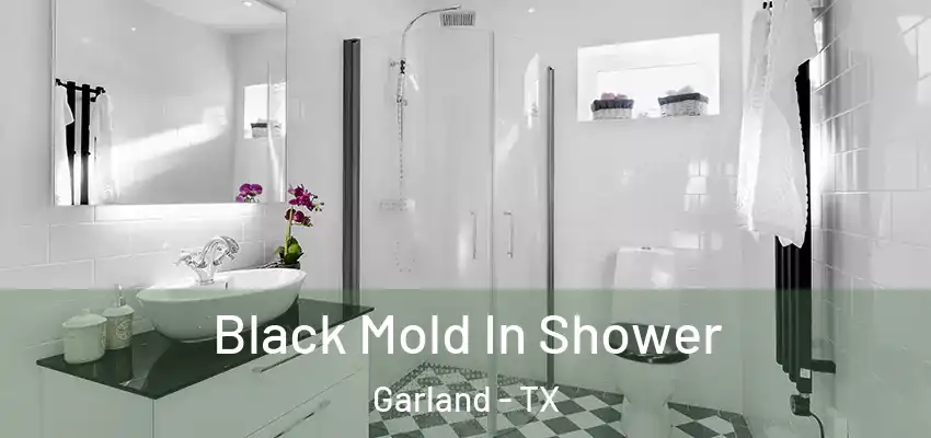  Black Mold In Shower Garland - TX