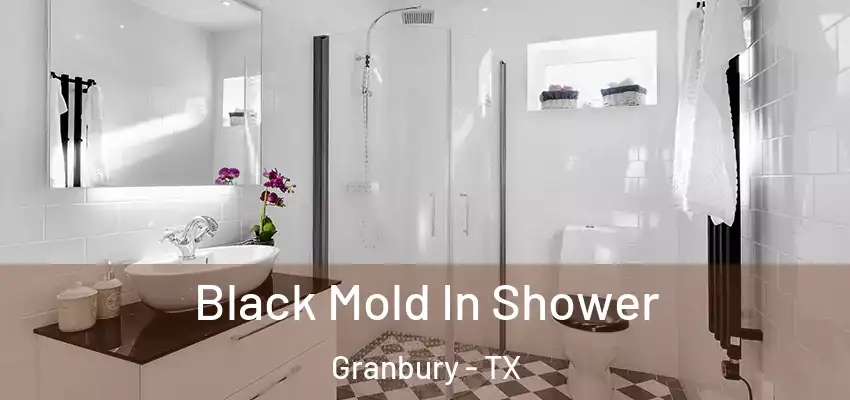  Black Mold In Shower Granbury - TX