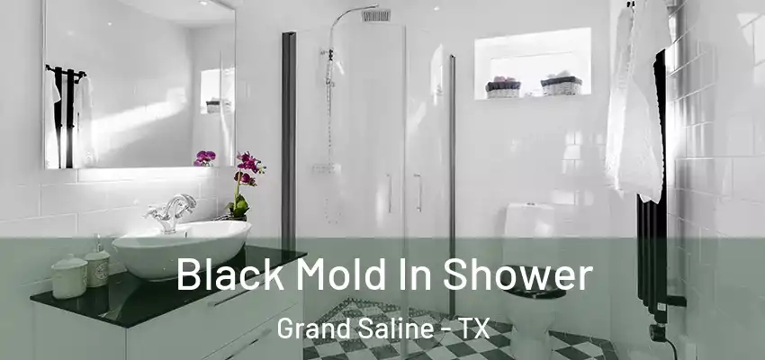  Black Mold In Shower Grand Saline - TX