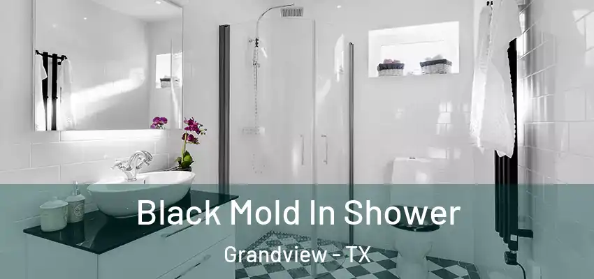 Black Mold In Shower Grandview - TX