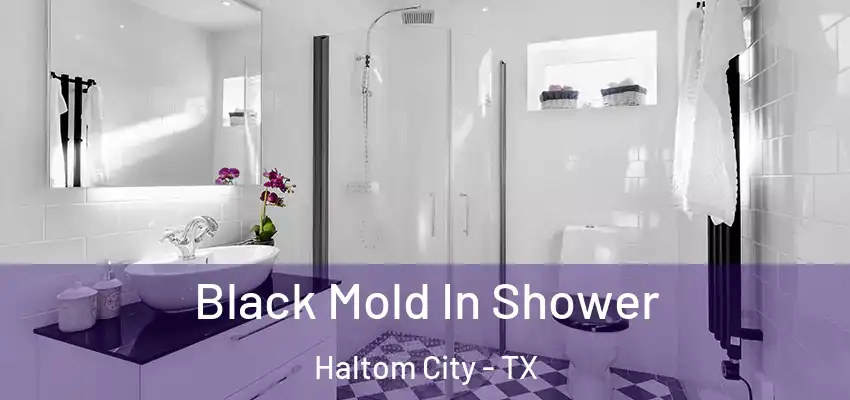  Black Mold In Shower Haltom City - TX