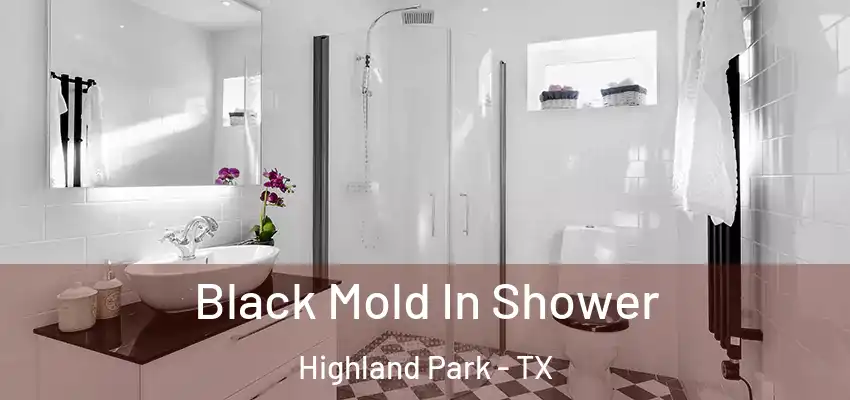  Black Mold In Shower Highland Park - TX