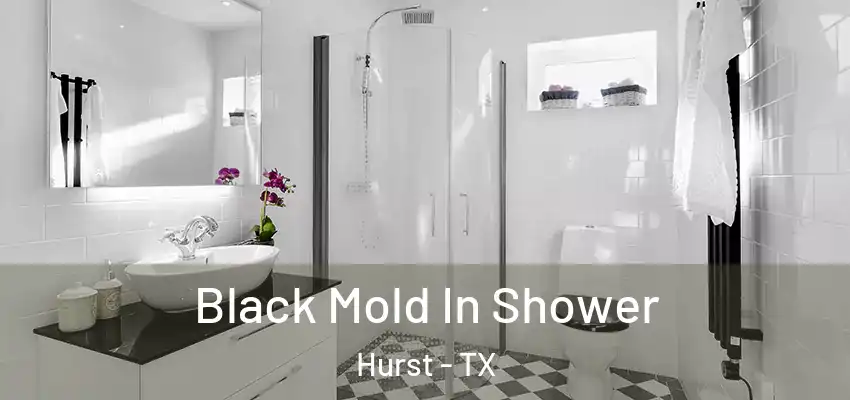  Black Mold In Shower Hurst - TX