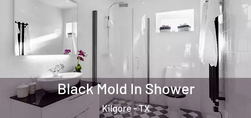  Black Mold In Shower Kilgore - TX