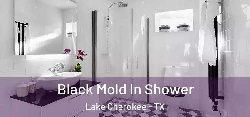  Black Mold In Shower Lake Cherokee - TX