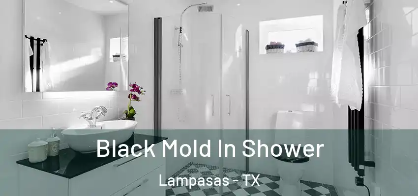  Black Mold In Shower Lampasas - TX