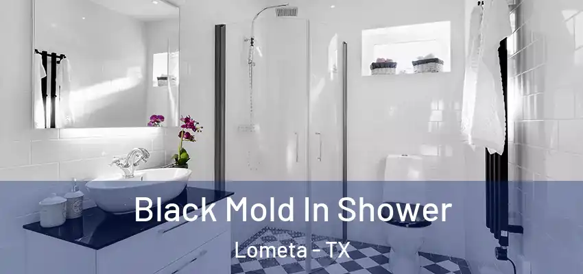 Black Mold In Shower Lometa - TX