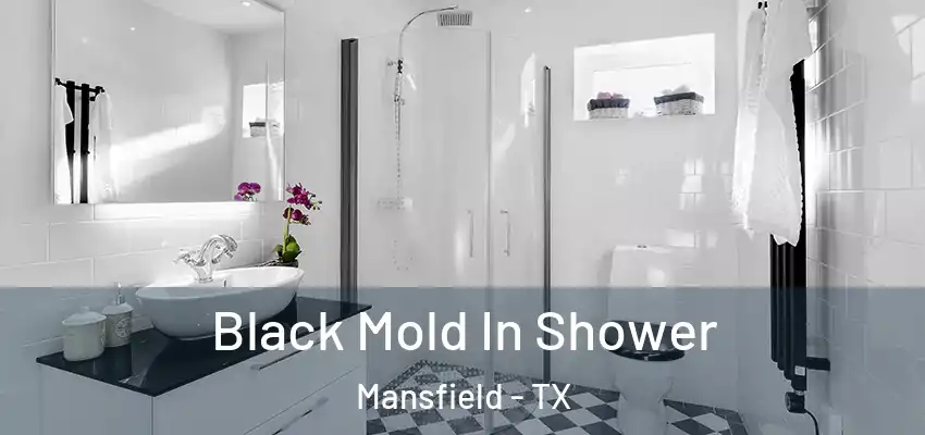 Black Mold In Shower Mansfield - TX