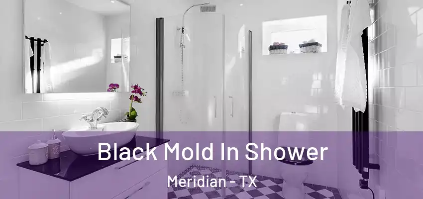 Black Mold In Shower Meridian - TX