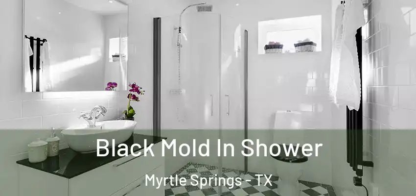  Black Mold In Shower Myrtle Springs - TX